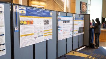 Poster Boards at GGIP Research Symposium 2025