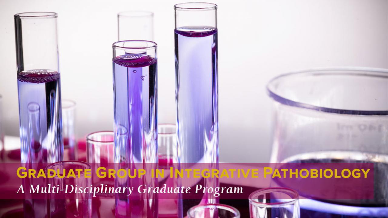 Graduate Group in Integrative Pathobiology