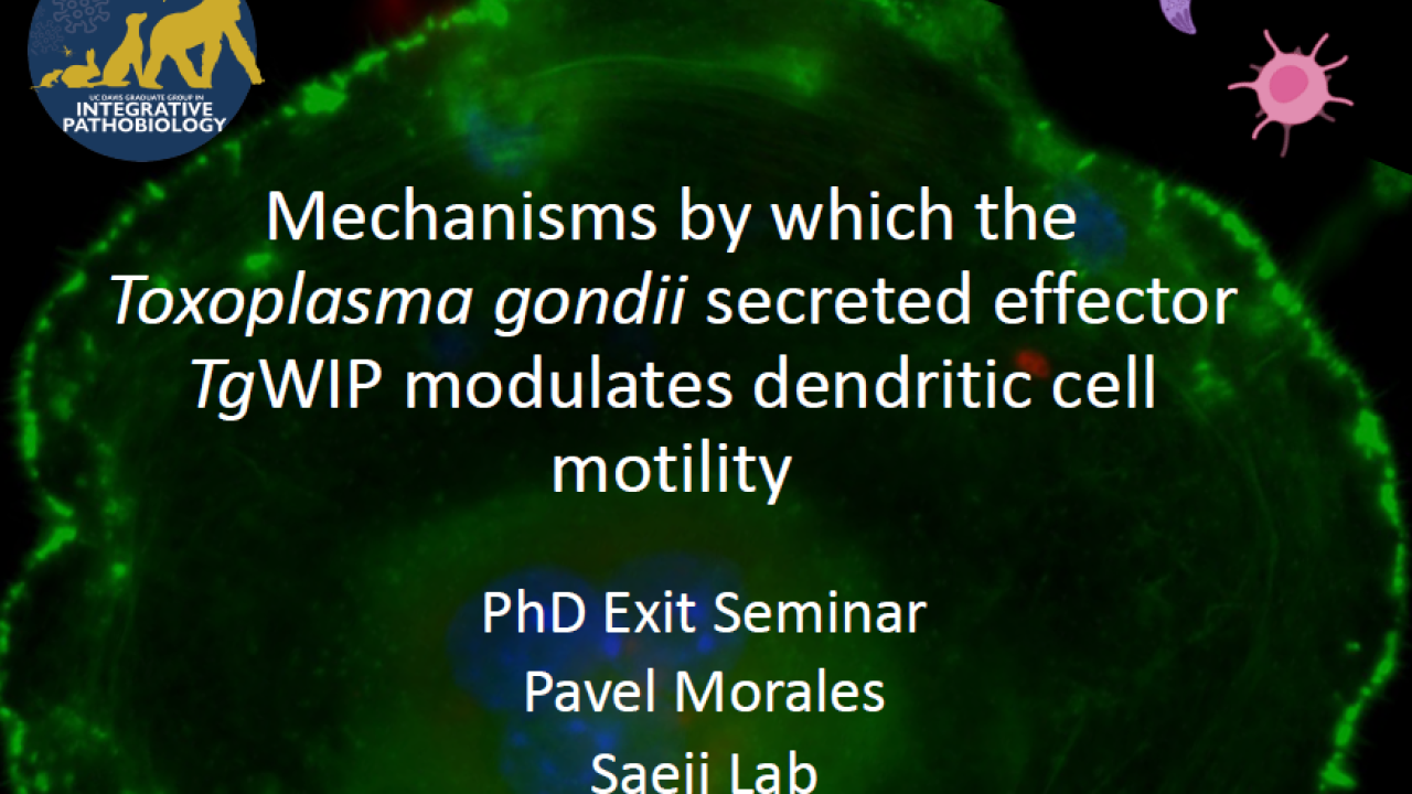 Picture of Pavel Morales Exit Seminar flyer