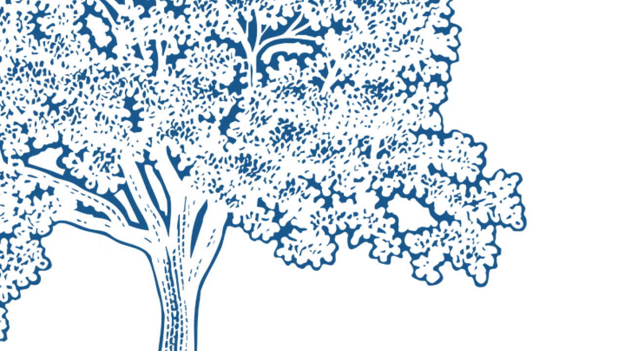 inverted illustration of an oak tree