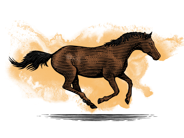 running horse noble