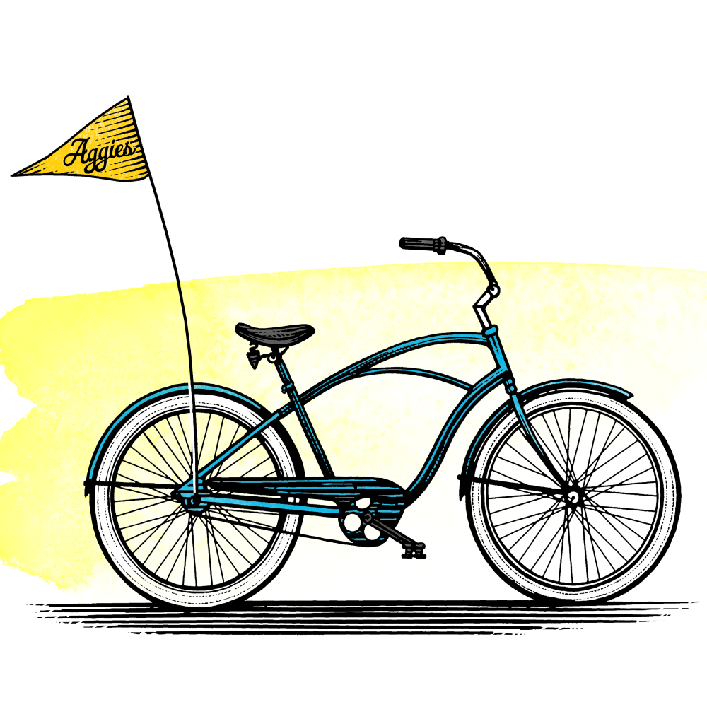 Cruiser bike with UCD flag