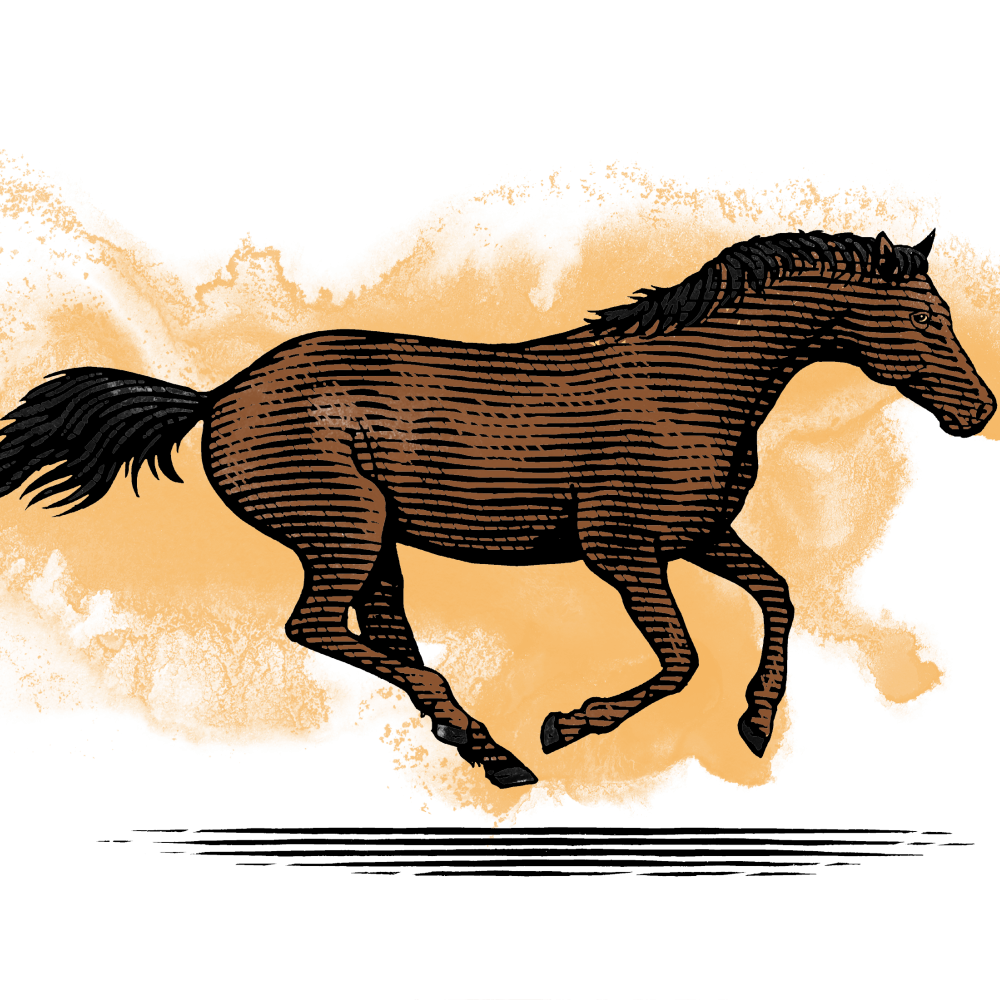 running horse noble