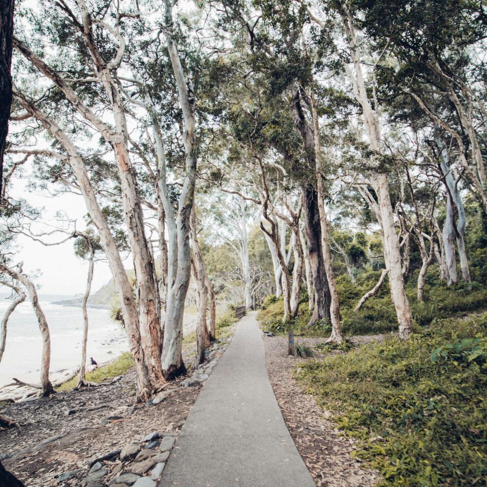 Walking path in Australia