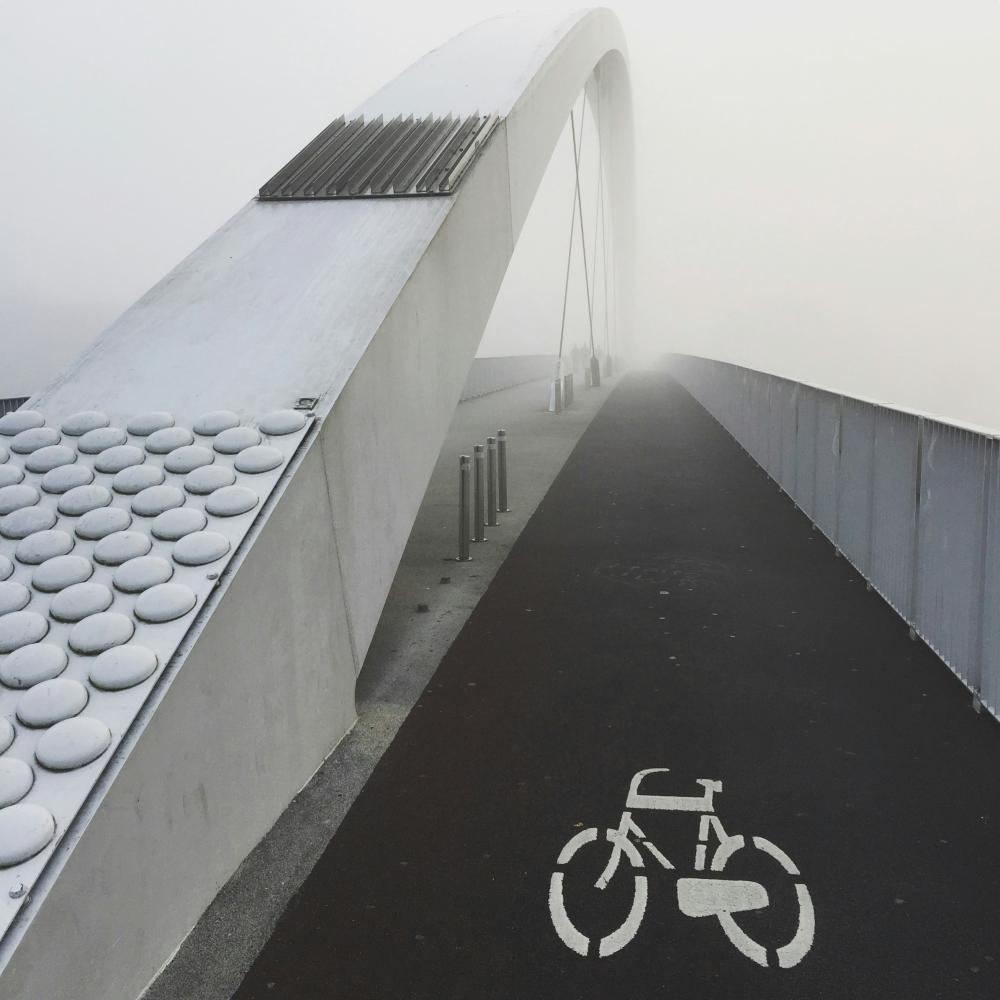 Bike path in Netherlands