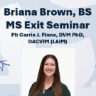 Picture of Briana Brown's exit seminar flyer