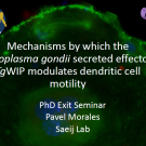 Picture of Pavel Morales Exit Seminar flyer