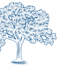 inverted illustration of an oak tree